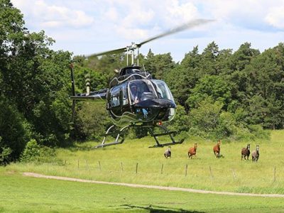 Helikopter på Artipelag