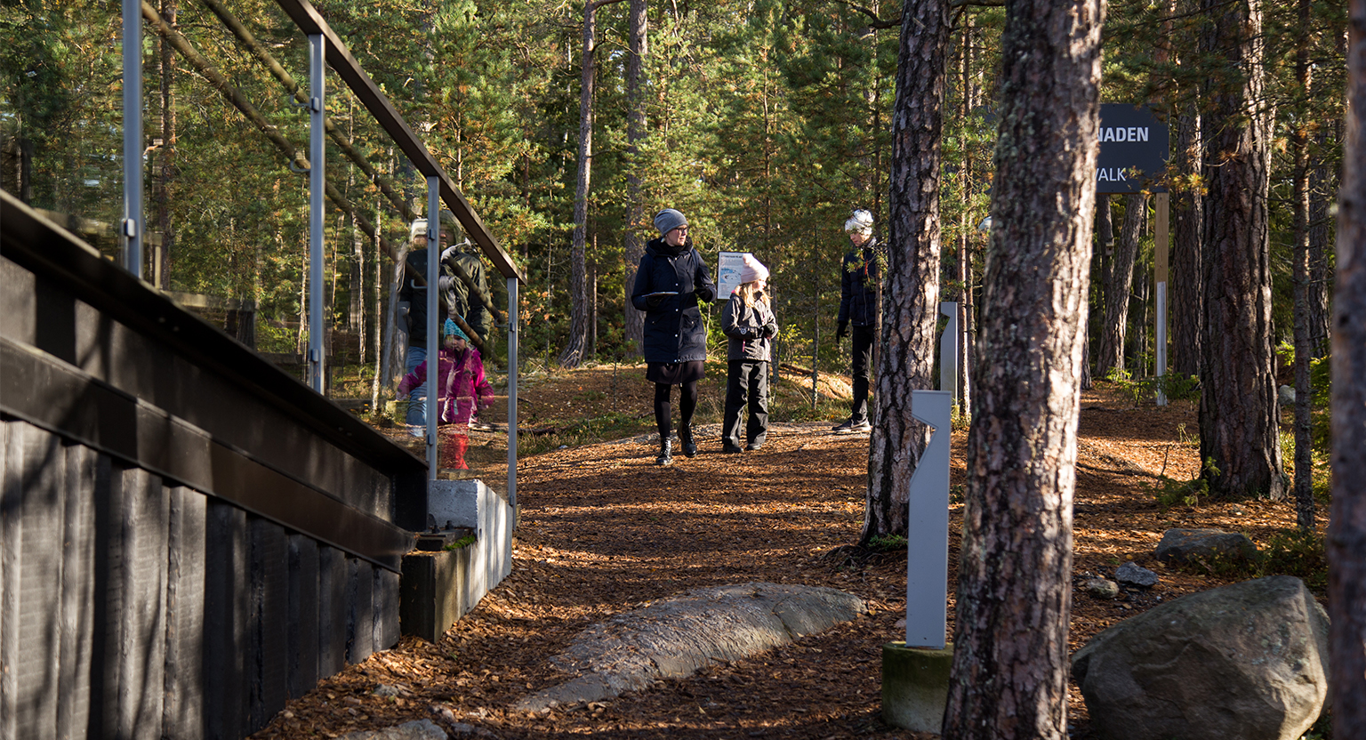 Tipspromenad i skogen