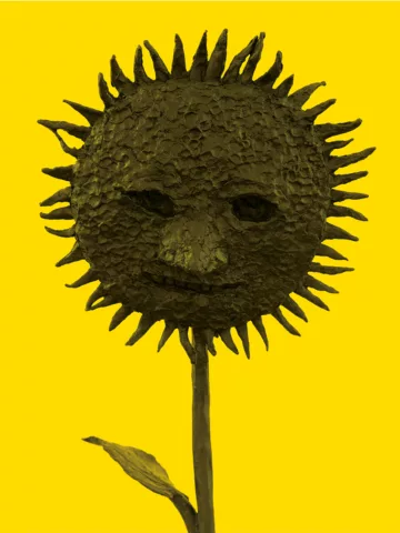 I Follow the Sun