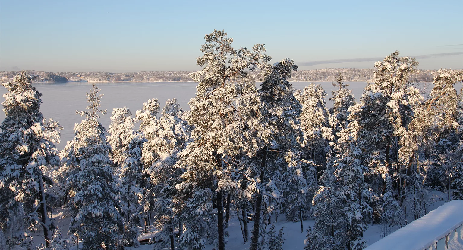 Snötäckta träd med en frusen sjö i bakgrunden under en klarblå himmel.